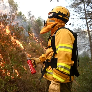 Drip Torch - Image 2